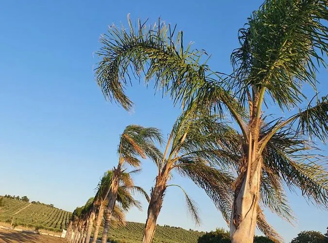 Apartmán Gioberta *