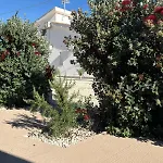 Gioberta
